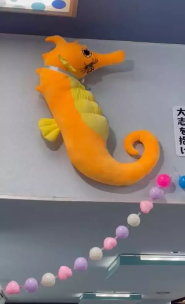 「困ります！お客様」　水族館の閉館時間に現れた驚きの常連さん　「どうやってそこに？！」「大志を抱きすぎwww」