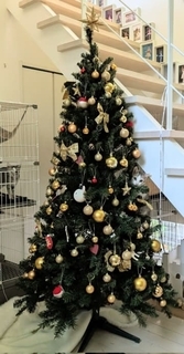 「付けた覚えのないオーナメントがある」→よく見ると……「溶けこんでる」「猫製」