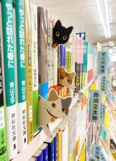 本棚からひょっこり…大阪の書店が作った「猫のしおり」が可愛すぎる！「ニャンてステキな本屋さん」「読書がもっと楽しくなりそう」