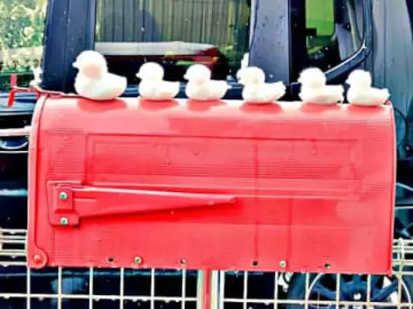 「普通に恥ずかしい…」無心で雪のアヒルを並べていたら郵便屋さんと鉢合わせ！ 9万人が癒やされた“気まずい”一瞬