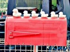 「普通に恥ずかしい…」無心で雪のアヒルを並べていたら郵便屋さんと鉢合わせ！ 9万人が癒やされた“気まずい”一瞬