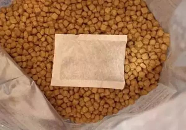 フードを食べない「猫」に、こんな方法を試して！　科学的にも実証「ねこ、海原雄山みたい」の声も