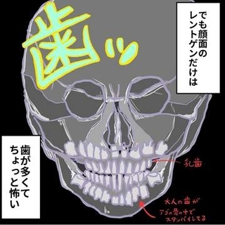 可愛い子どもの意外な骨にびっくり→「ちゃんとスタンバってるんですね！」「顎の中にびっしり！」【漫画】
