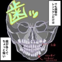 可愛い子どもの意外な骨にびっくり→「ちゃんとスタンバってるんですね！」「顎の中にびっしり！」【漫画】