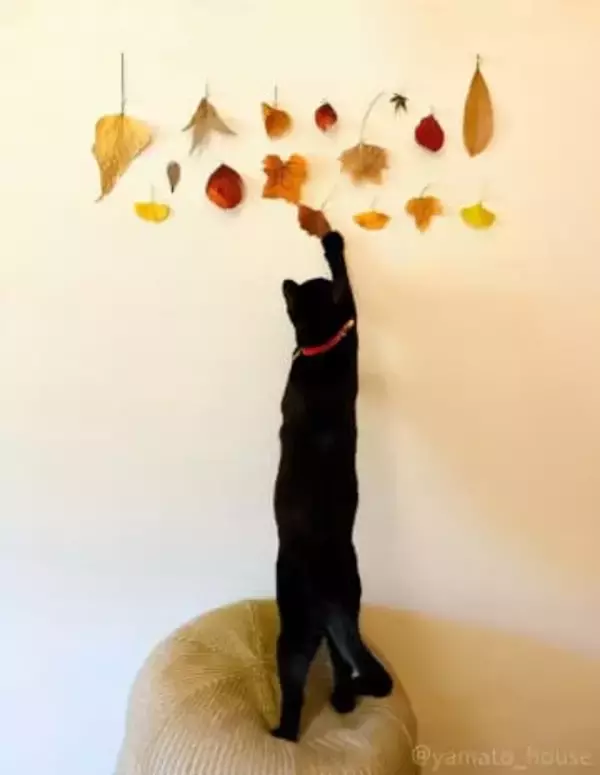 「今年もやってます」壁に貼った「落ち葉」を狩る猫さん「雰囲気の調和がすばらしい」「これで仕上がりの絵でしょうか」
