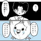 「「ゲンキカ？」「アイタイ」引き取ったインコ　無口で不器用な父が言いたかった言葉が胸を衝く【漫画】」の画像1