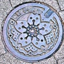 東京のマンホールのフタ「ずっと、5匹の犬だと思ってた！」「たしかに（笑）」「もう犬にしか見えない」