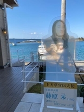 「透明すぎて、目視できない女優」のパネル→じわじわくる　これは「クリエイターズ・ファイル」の…