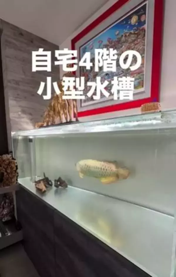 1階に全長5メートル水槽、地下や各階にも魚が泳ぐ5階建て住居に「じ、自宅？！」 維持費は年間500万円以上、次なる夢は「ペンギンを飼うこと」