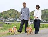 「「犬のおまわりさん」続々誕生　7カ月で170匹登録「見守るワン」　柴犬のルーツ・石州犬が生まれた町で　高齢者救助の実績も」の画像1