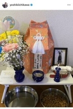 「チャビ、安らかにね」俳優40歳、14年連れ添った元保護犬のドーベルマン死去「僕の元にやって来てくれて、本当にありがとう」2週間付きっきりで看取る