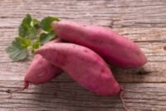 さつまいもの芽は食べられる？ 長持ち＆おいしさ倍増の保存ワザ