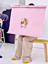 愛犬の笑顔のプロフ画像、撮影の舞台裏に「そうやって撮ってたのか！」と反響　「文化祭の準備みたい」「AIの時代なのにこの手作りと熱意」