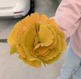 「7歳娘「ママ〜！大きなお花みたいになったよ」→「こんな瞬間はいつも、子育ての幸せを噛みしめる」その感性に「天才」「芸術家ですね」」の画像1