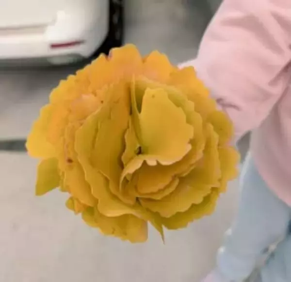 7歳娘「ママ〜！大きなお花みたいになったよ」→「こんな瞬間はいつも、子育ての幸せを噛みしめる」その感性に「天才」「芸術家ですね」