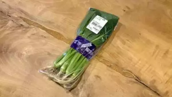 JAで買った小松菜の根っこで「再生栽培」　ジップロックで半年間、何度も収穫できました「こんなに育つんですね」