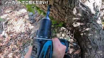 木から樹液をとって→何時間も煮詰め→完成したシロップはたった数10㏄…気が遠くなる工程を経てたどり着いた「至福の味わい」