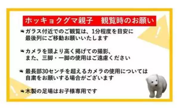 ホッキョクグマ親子公開に沸く水族館が撮影ルール設定「望遠カメラ30cmまで」「最前列1分」　細かすぎ？規定に波紋…担当者の真意は