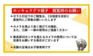 ホッキョクグマ親子公開に沸く水族館が撮影ルール設定「望遠カメラ30cmまで」「最前列1分」　細かすぎ？規定に波紋…担当者の真意は