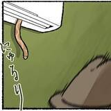 「木の枝？エアコンの送風口から細長いものが… 昼休みの診療所を襲った恐怖の生きもの【漫画】」の画像1