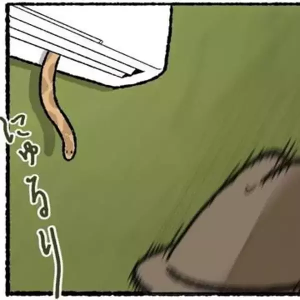 木の枝？エアコンの送風口から細長いものが… 昼休みの診療所を襲った恐怖の生きもの【漫画】