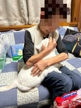 譲渡対象外の高齢者と、譲渡先が見つからないシニア猫をマッチング　人も猫も幸せになれる仕組み「終生預かり制度」とは