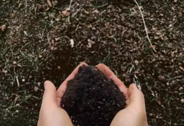 「泥だらけの“汚いおじいさん”と思ってたら…」被災地のボランティアで出会った人物の正体に驚きの声