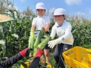 駄菓子屋さんがウイスキー？！原料は岡山産トウモロコシ　地元酒類メーカーとタッグ　2029年の発売目指す