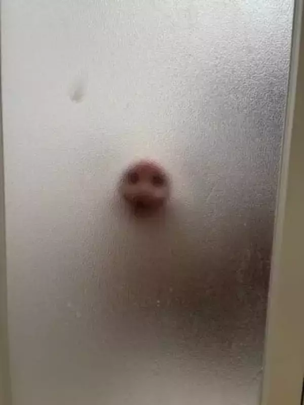 「トーマスの顔？」入浴中のブタさん、助けを求める姿に反響「急いで出て抱きしめたくなる」