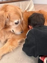 叱られた8歳息子に寄り添う犬…ママをにらむ驚きの表情に「守ってくれてるんだね」「素敵なボディガード♡」