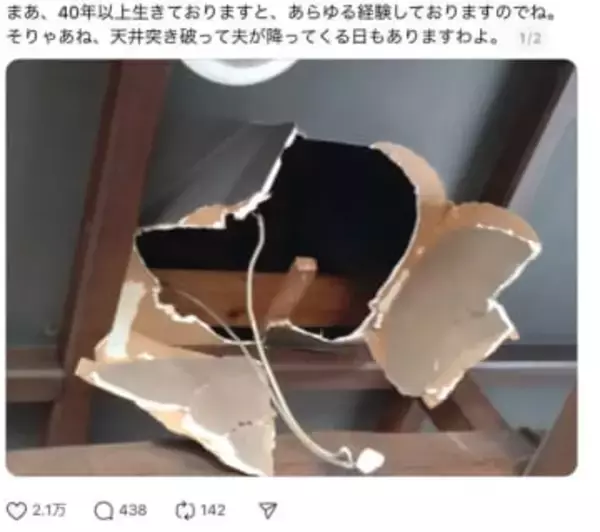 妻が家の天井を見上げたら……意外すぎるモノが落ちてきた！「そんなことってある！？」「ラピュタの名シーンですか？」