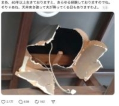 妻が家の天井を見上げたら……意外すぎるモノが落ちてきた！「そんなことってある！？」「ラピュタの名シーンですか？」