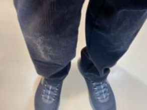 こんなに抜けるの！？「膝に柴犬を受けてしまってな…」朝散歩で起きた“毛だらけハプニング”に「柴あるある」「うらやましい」の声殺到