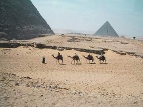 ピラミッド、アマゾン、モアイ像…写真家だった祖父が遺した世界各地の風景　DNA受け継いだ孫が公開「しっかり才能は遺伝してるんですね」