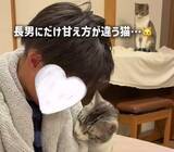「家族のなかで「なぜか中1息子から離れない」猫さん　“腕にぴったり寄り添う姿”に癒やされる人続出」の画像1
