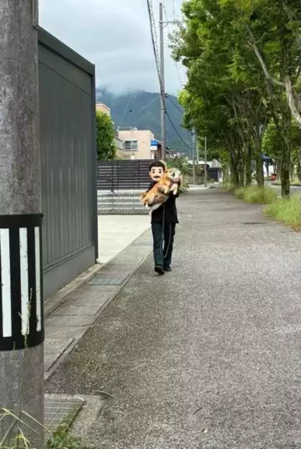 「もう歩かなくてもいいよね？」おうちの車が見えた途端に歩くのを拒否する犬　「柴あるあるですね」“にんまり笑顔”に1.7万いいね