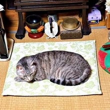 父の命日、愛猫が「ずっと仏間にいる」　亡くなって一年…仏前で静かに丸まる姿に「大好きだったのね」「猫さんにはわかるのかも」