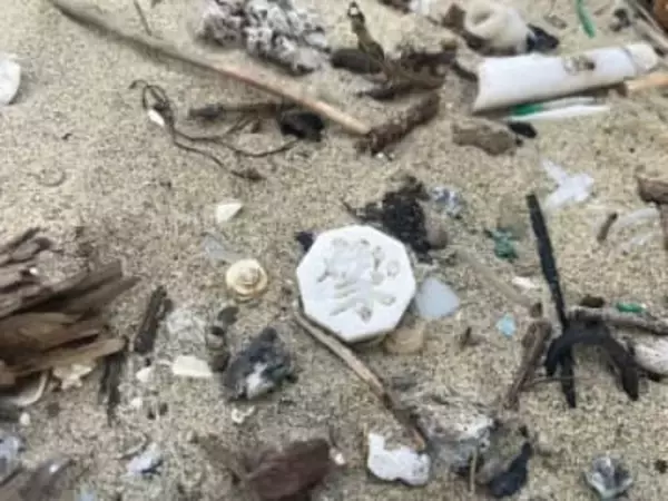 海岸で見つけた「謎の漂着物」　漢字が刻まれた八角形の正体は“朝鮮半島式将棋”の駒だった――玄界灘で6年収集、32個がそろった