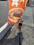 「「完全に食べてる」犬さん、すき家の牛丼が好きなの！？ 「毎回やります」「もう買ってあげるしか…」」の画像1