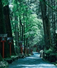 「貴船山」再生のための募金箱が……「貴船神社」で盗難　怒りの声続出「罰当たり」「今の日本、盗難ばっかり」