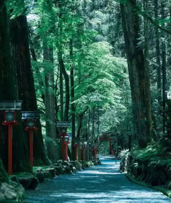 「貴船山」再生のための募金箱が……「貴船神社」で盗難　怒りの声続出「罰当たり」「今の日本、盗難ばっかり」