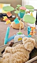 メリーを目で追い、うとうと…バウンサーを乗りこなす犬が“本物の赤ちゃん”すぎると話題　「犬も赤ちゃん返り」「気持ちわかる！」