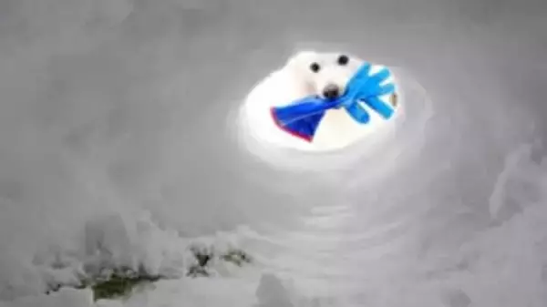 雪のなか「手袋」を持ってきてくれた犬→「助かる！」と思ったら……「犬あるある」「オチが最高」「逃げていく尻」