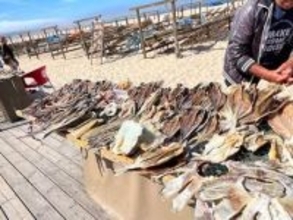 ここは日本？　ポルトガルの港町で見つけたイワシやサバの干物　まさかの食べ方に「おいしそう」「その発想なかったな」