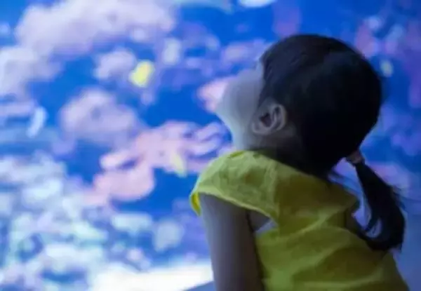 アナゴの水槽を二度見……SNSで「発想が天才すぎる」「かわいい」　　話題になった展示アイデアとは？