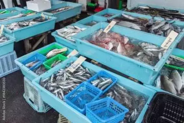 「ほっけ1匹かと思ったら…1箱！？」ありえない価格に思わず二度見　「うらやましい」と驚きの声