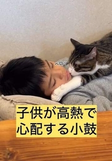 高熱でぐったりの9歳息子に、猫「いつもと違う！？」気づいてからの行動が「尊すぎるよ〜！」