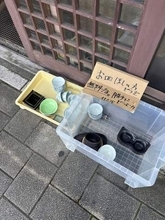 「お皿欲しい方どうぞ」と書いたら……予想外の事態にラーメン店困惑→「それなら…」ととった店主の行動に称賛の声