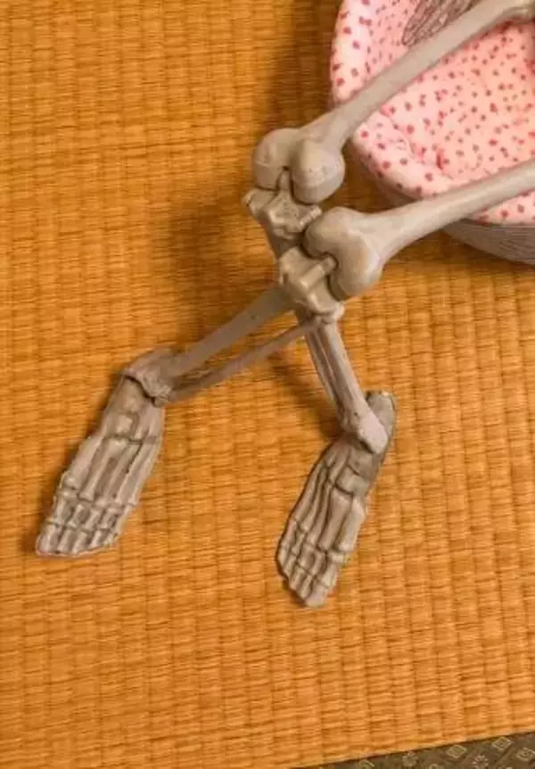 7歳娘がかわいがり、毎晩寝かしつけをしているおもちゃが不気味…「我が家では防犯係してます」「なんでみんな持ってるん？」