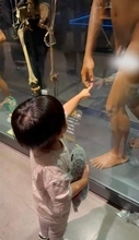 「これパパ！」2歳息子が指さす先には……博物館のハプニングにママ苦笑い　「お風呂入れてくれるからこうなる」